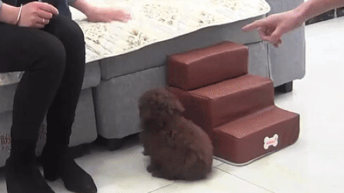 3-Step Pet Stairs – Soft, Anti-Slip Ramp for Small Pets