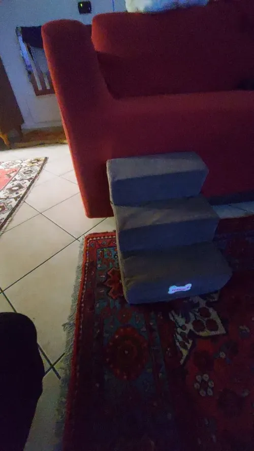 3-Step Pet Stairs – Soft, Anti-Slip Ramp for Small Pets photo review