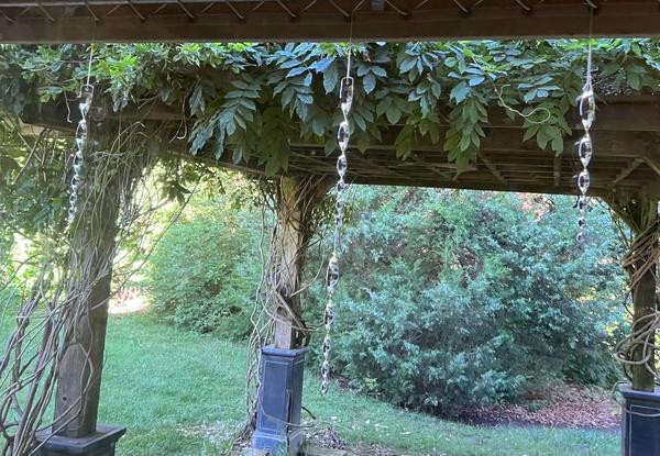6pcs Reflective Spiral Bird Repellent Wind Deterrent Rods photo review