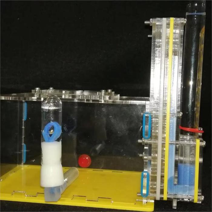 Acrylic Ant Farm with Feeding Area and Maze Tunnel Design