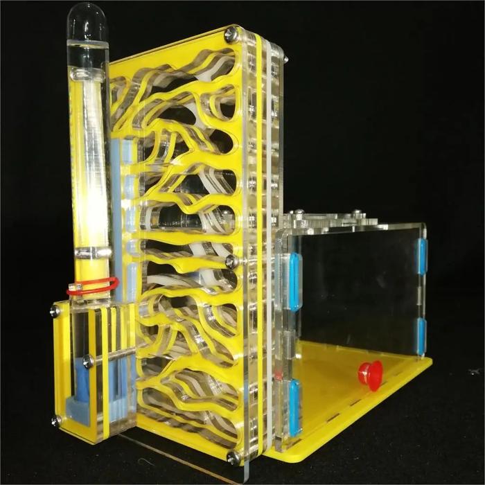 Acrylic Ant Farm with Feeding Area and Maze Tunnel Design