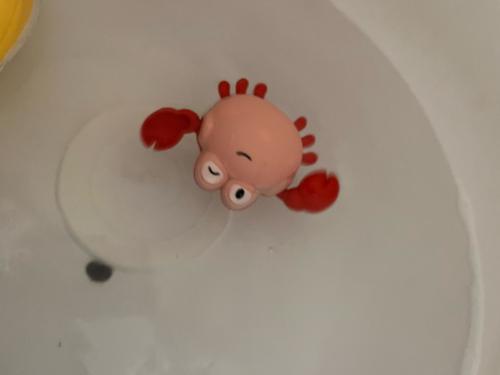 Baby Bath Toys - Cartoon Animal Ducks Whale Crab Swimming Pool Water Play photo review