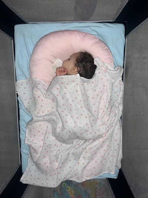 Cushioned Co-Sleeping Baby Nest Lounger And Sleep Pillow photo review