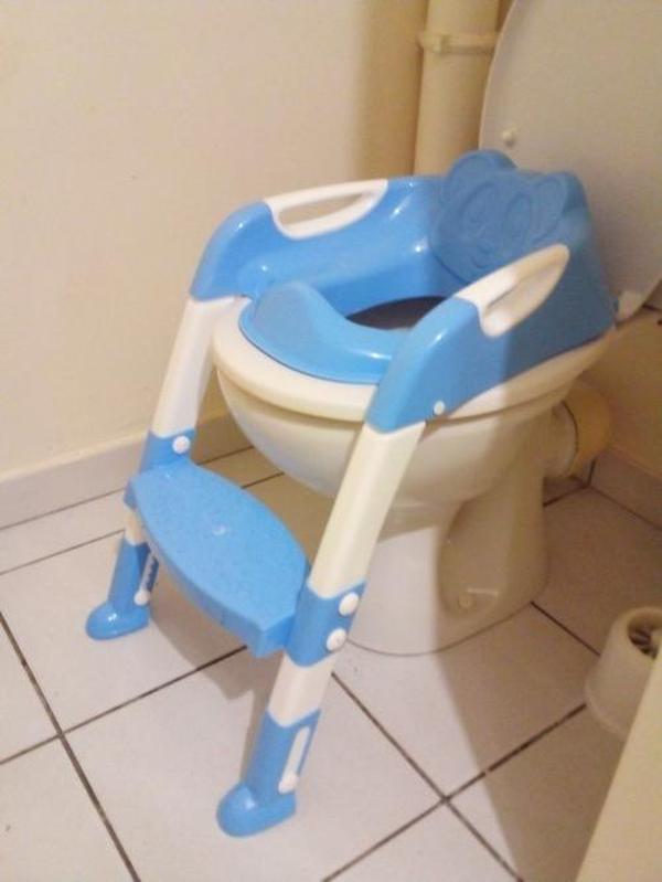 Baby Toilet Training Seat With Adjustable Ladder photo review