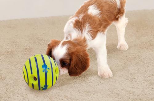 Ball Interactive Dog Toy Fun Giggle Sounds When Rolled