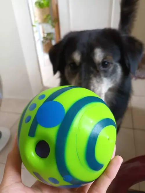 Ball Interactive Dog Toy Fun Giggle Sounds When Rolled photo review