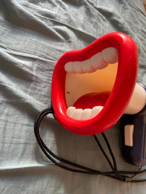 Big Mouth Funny Megaphone Recording Speaker - Kids Voice Changer photo review