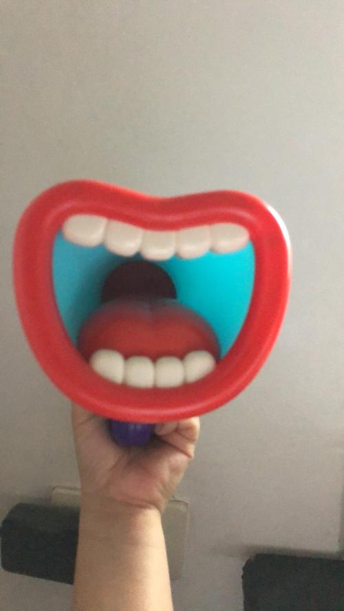 Big Mouth Funny Megaphone Recording Speaker - Kids Voice Changer photo review