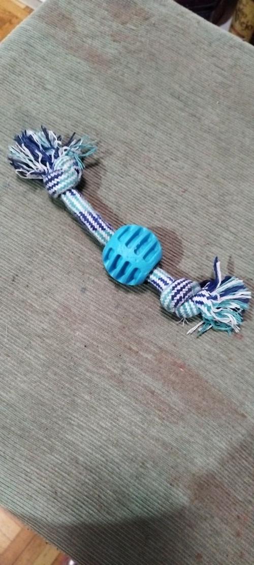 Bite-Resistant Cotton Rope Dog Toys for Small & Large Dogs - Dog Accessories photo review