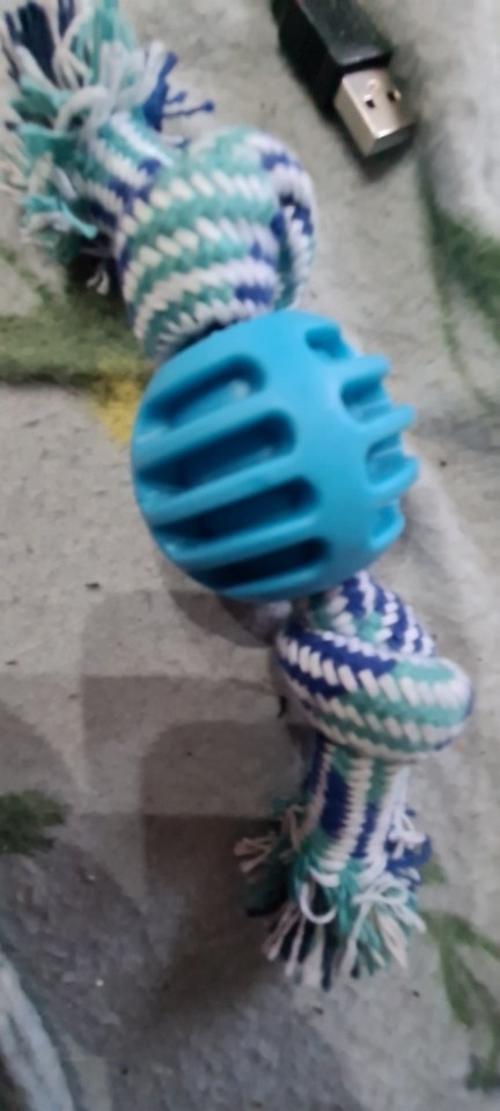 Bite-Resistant Cotton Rope Dog Toys for Small & Large Dogs - Dog Accessories photo review