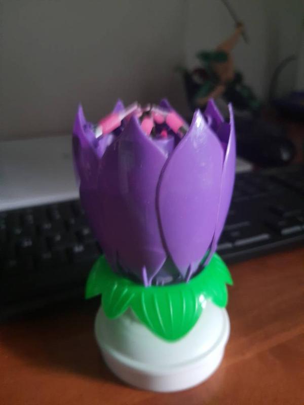 Blooming Musical Candle photo review