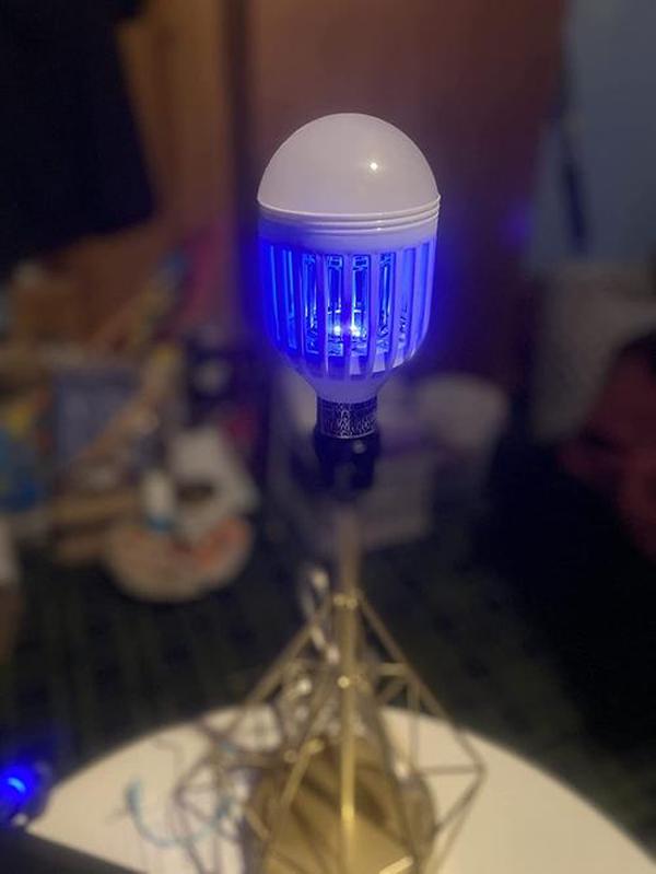 Bug Zapper Led Light Bulb photo review