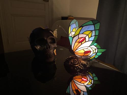 Stained Glass Butterfly Table Lamp with LED Bulb Vintage Decor photo review