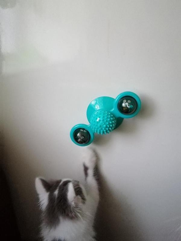 Cat Treadmill Massage Rotatable Led Ball Windmill Cat Toy Pet Teeth Cleaning Toy photo review