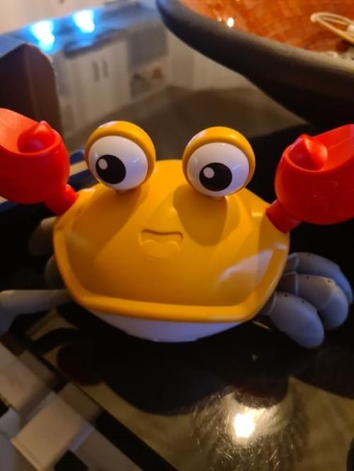 Crawling Crab Toy Kids Induction Crab Toy Usb Rechargeable Crab Toy photo review