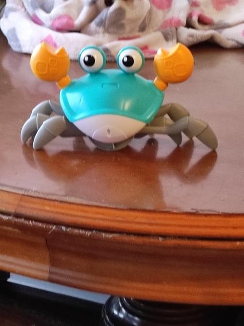 Crawling Crab Toy Kids Induction Crab Toy Usb Rechargeable Crab Toy photo review