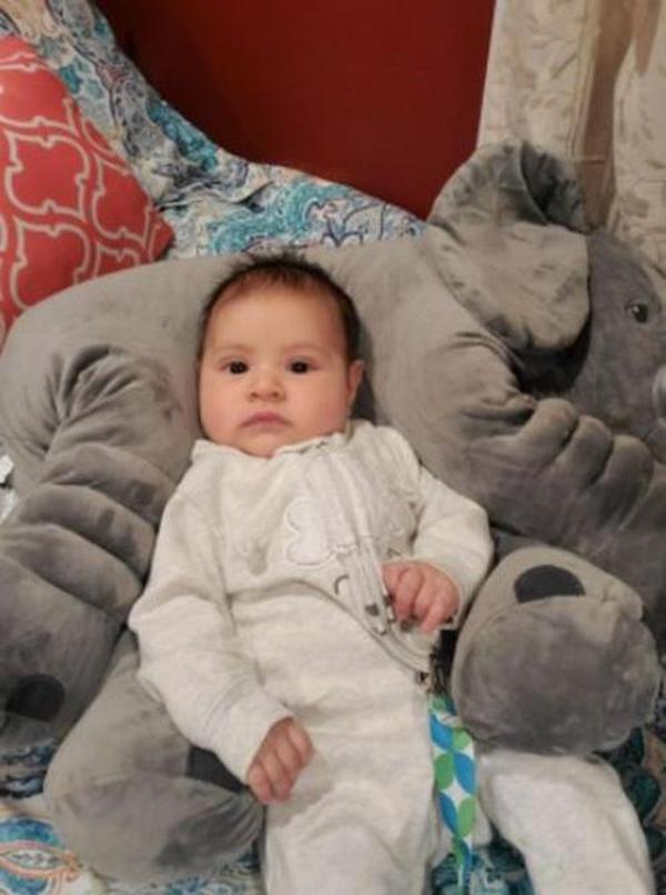 Cute Giant Elephant Cuddle Hug Plush Toy For Babies photo review