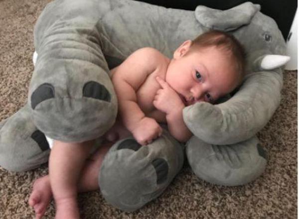 Cute Giant Elephant Cuddle Hug Plush Toy For Babies photo review