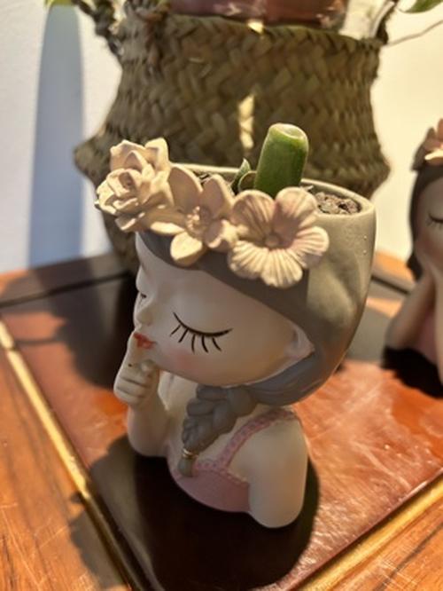 Cute Girl Succulent Cactus Flower Pots for Home Decor photo review