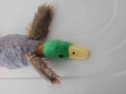 Cute Plush Duck Dog Chew Toy with Sound, Squeaky Animal Toy for Cleaning Teeth photo review