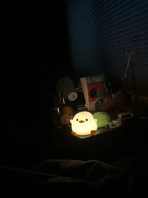 Cute Rechargeable Duck Night Light with Touch Sensor for Kids photo review