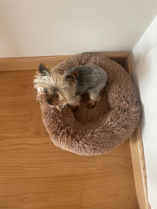 Deep Sleep Gog Calming Bed for Small Dogs Round Plush Pet Nest photo review