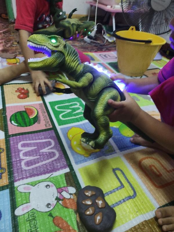 Dinosaur Robot Remote Control Toy Robotic Dinosaur For Boy Or Children Gift photo review