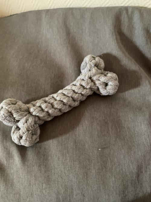 Dog Toys for Small & Large Dogs, Chew Resistant Cotton Bone Shape Puppy Teething Toy photo review