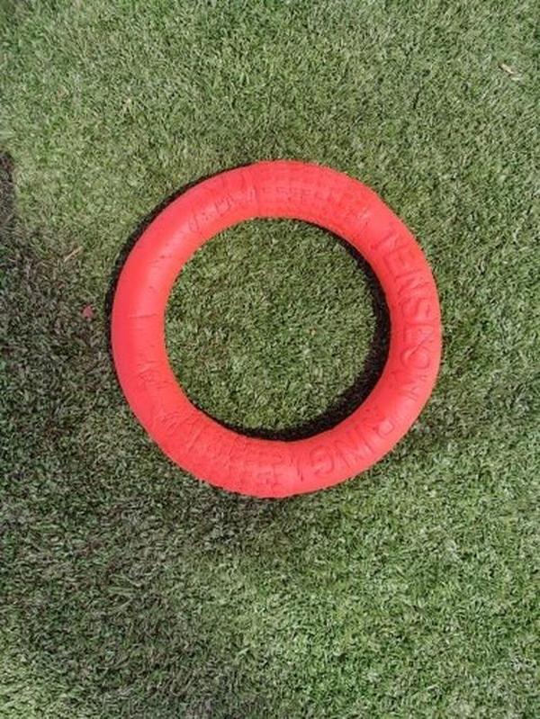 Dog Toys for Training, Puller, Flying Disk, Chewing, Outdoor Play photo review