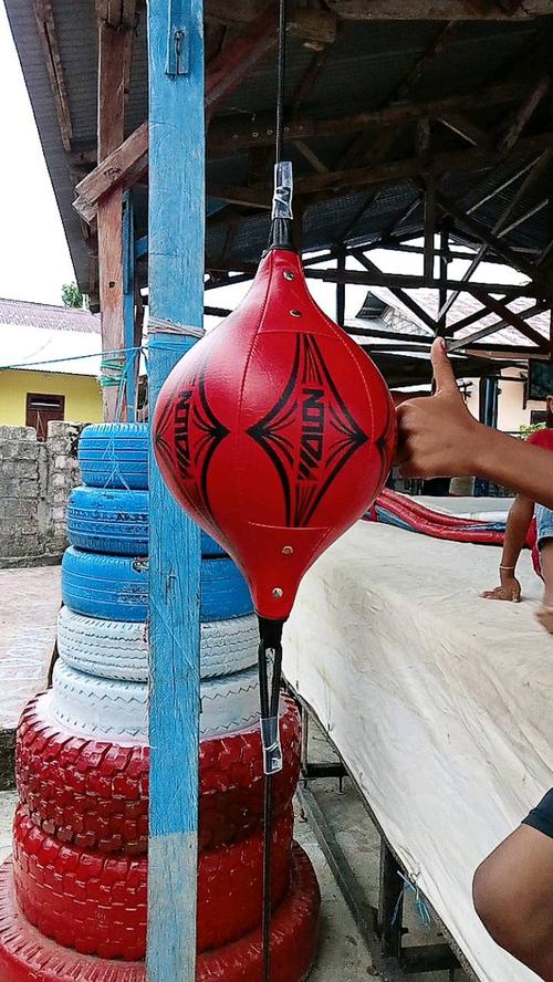 Double End Boxing Punching Bag photo review