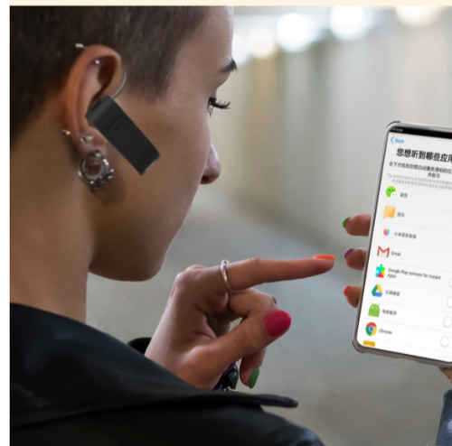 Earpiece Language Translator