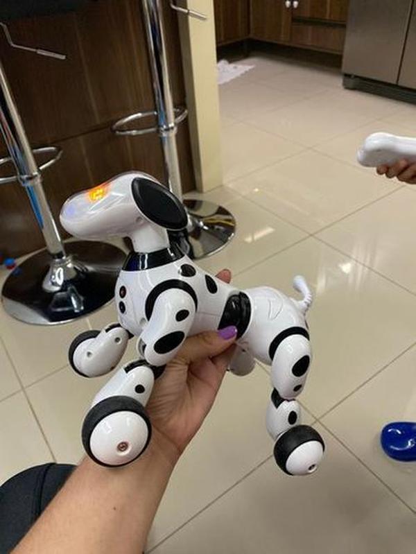 Electric Remote Control Smart Robot Dog Smart Children's Electronic Pet Toy photo review