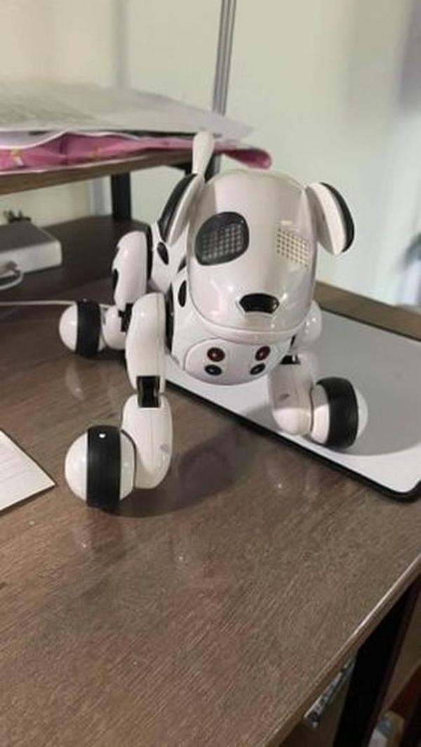 Electric Remote Control Smart Robot Dog Smart Children's Electronic Pet Toy photo review