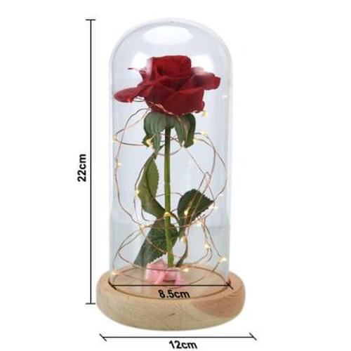 Enchanted Forever Rose Flower Lamp In Glass LED Light Christmas Decoration