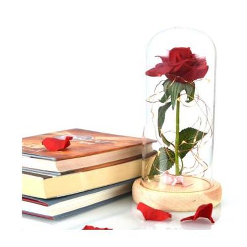 Enchanted Forever Rose Flower Lamp In Glass LED Light Christmas Decoration