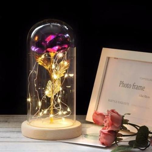 Enchanted Forever Rose Flower Lamp In Glass LED Light Christmas Decoration