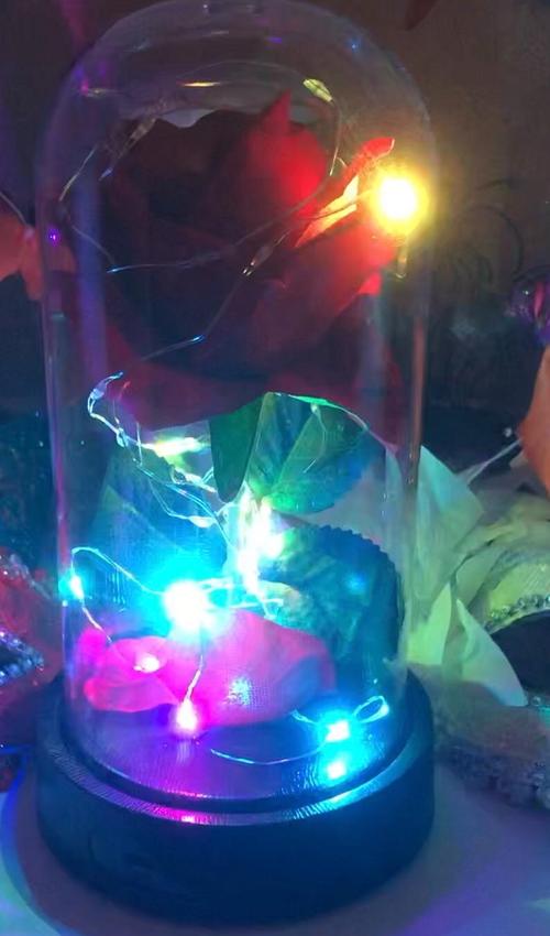 Enchanted Forever Rose Flower Lamp In Glass LED Light Christmas Decoration photo review