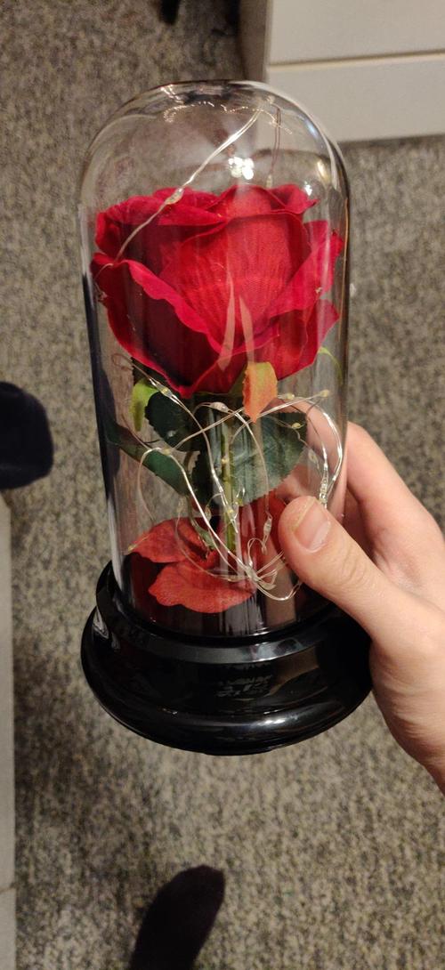 Enchanted Forever Rose Flower Lamp In Glass LED Light Christmas Decoration photo review