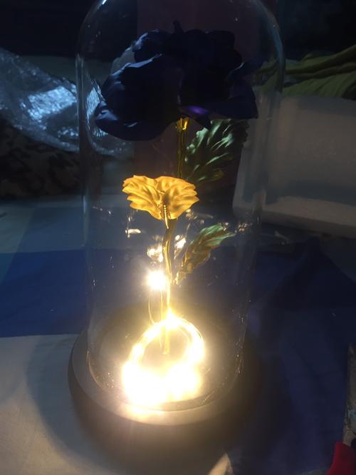 Enchanted Forever Rose Flower Lamp In Glass LED Light Christmas Decoration photo review