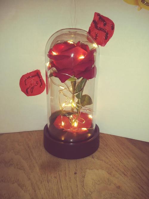 Enchanted Forever Rose Flower Lamp In Glass LED Light Christmas Decoration photo review