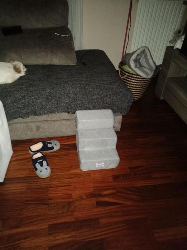 Foldable Pet Stairs photo review