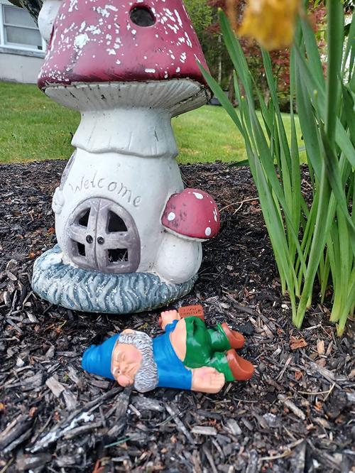 Funny Drunk Garden Creative Drunk Garden Decoration photo review