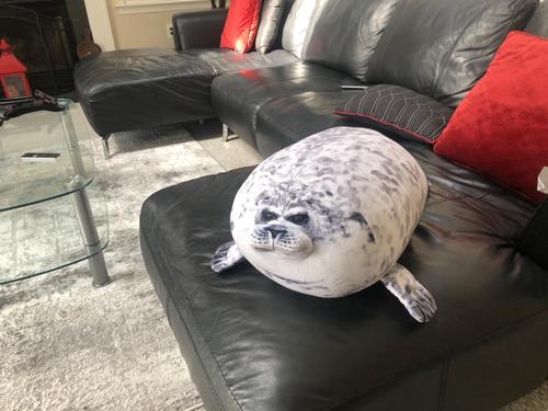 Giant 3D Blob Seal Pillow Soft Hugging Stuffed Cotton Plush Animal Toy photo review