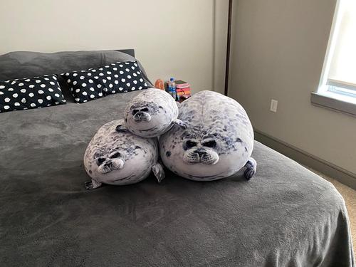 Giant 3D Blob Seal Pillow Soft Hugging Stuffed Cotton Plush Animal Toy photo review