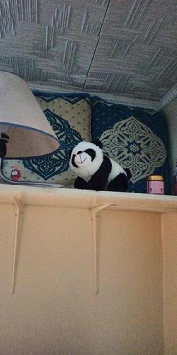 Cute Giant Panda Stuffed Animal Pillow – Soft Plush Doll Gift photo review