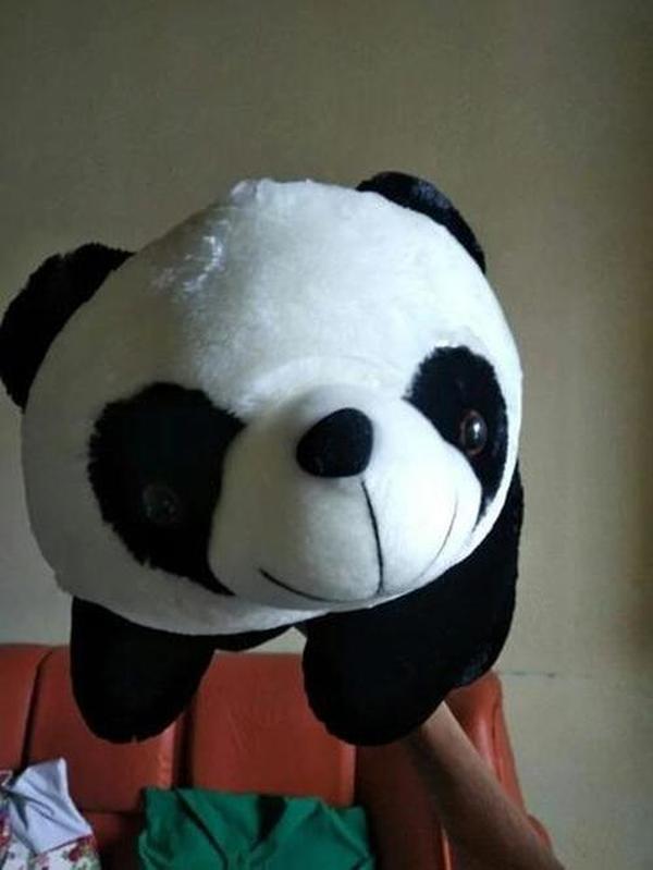 Cute Giant Panda Stuffed Animal Pillow – Soft Plush Doll Gift photo review