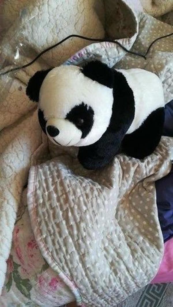 Giant Stuffed Panda Bear - Big Animal Plush photo review