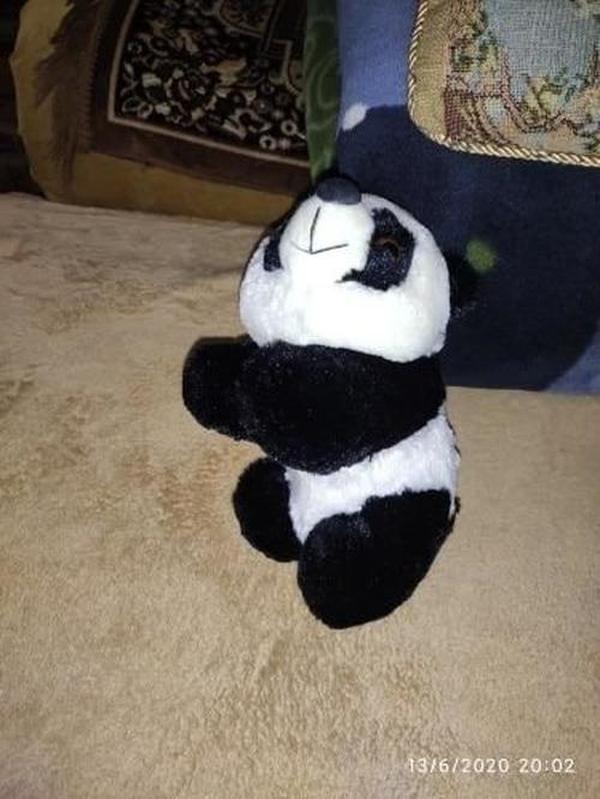 Giant Stuffed Panda Bear - Big Animal Plush photo review