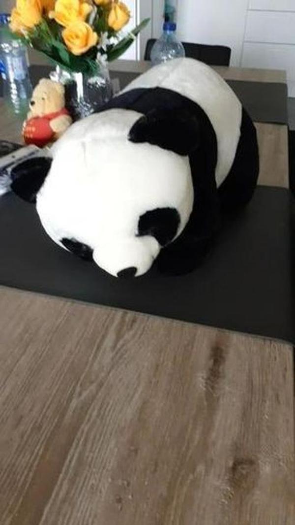 Cute Giant Panda Stuffed Animal Pillow – Soft Plush Doll Gift photo review