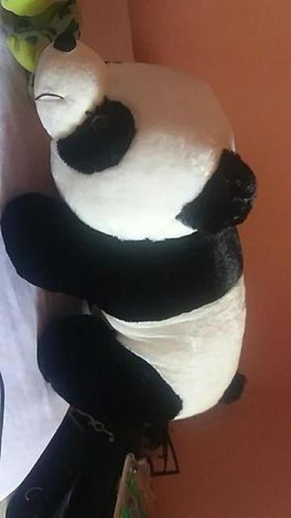 Cute Giant Panda Stuffed Animal Pillow – Soft Plush Doll Gift photo review